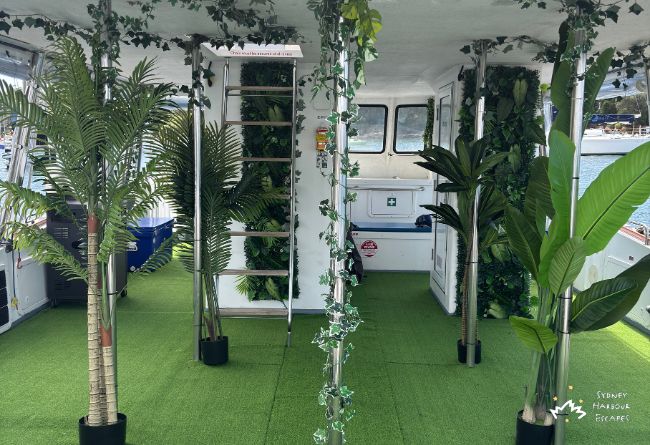 05   Curious George 2026 